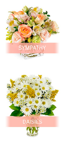 Flowers North Olmsted Ohio 🟢 Feb 2026